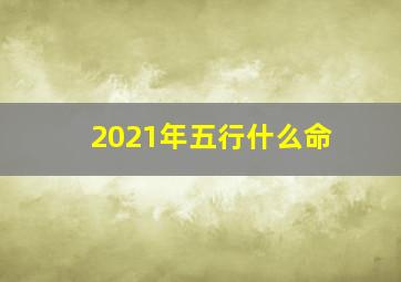 2021年五行什么命