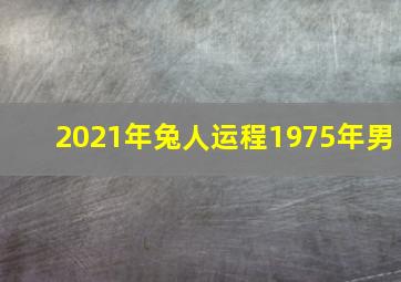 2021年兔人运程1975年男