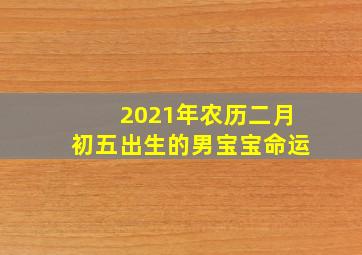 2021年农历二月初五出生的男宝宝命运