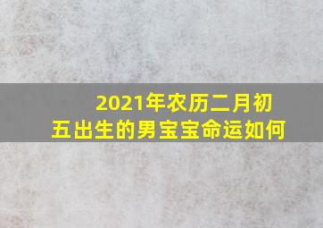 2021年农历二月初五出生的男宝宝命运如何