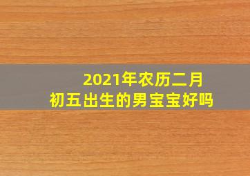 2021年农历二月初五出生的男宝宝好吗