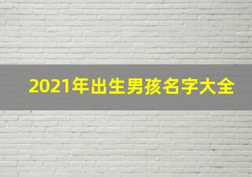 2021年出生男孩名字大全