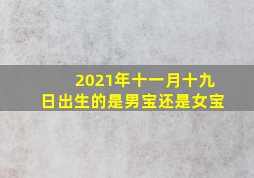 2021年十一月十九日出生的是男宝还是女宝