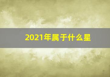 2021年属于什么星