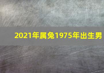 2021年属兔1975年出生男