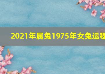 2021年属兔1975年女兔运程