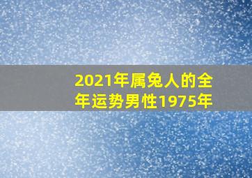 2021年属兔人的全年运势男性1975年