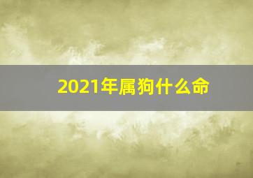 2021年属狗什么命