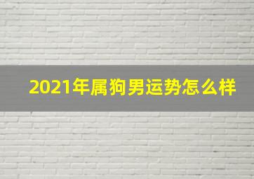 2021年属狗男运势怎么样