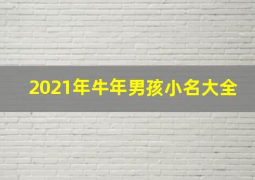 2021年牛年男孩小名大全