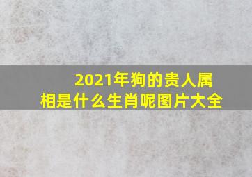 2021年狗的贵人属相是什么生肖呢图片大全