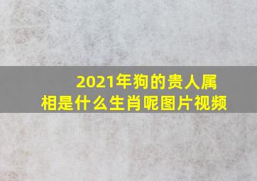 2021年狗的贵人属相是什么生肖呢图片视频