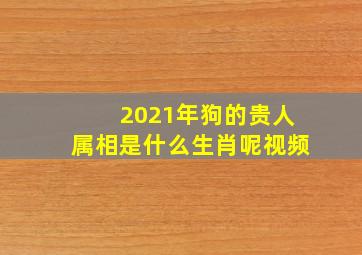 2021年狗的贵人属相是什么生肖呢视频