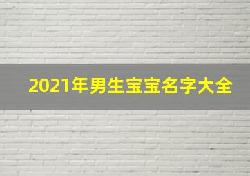 2021年男生宝宝名字大全