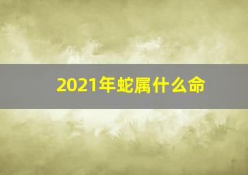 2021年蛇属什么命