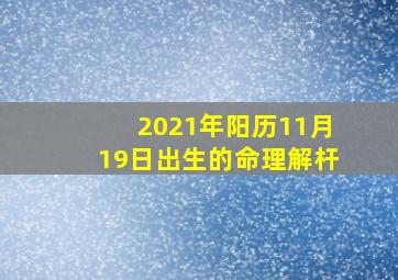 2021年阳历11月19日出生的命理解杆