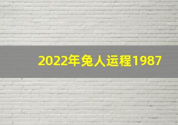 2022年兔人运程1987