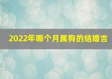 2022年哪个月属狗的结婚吉