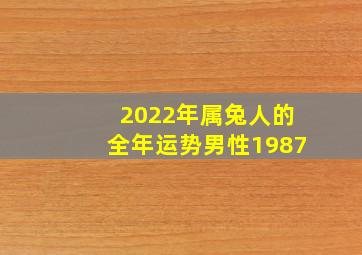 2022年属兔人的全年运势男性1987