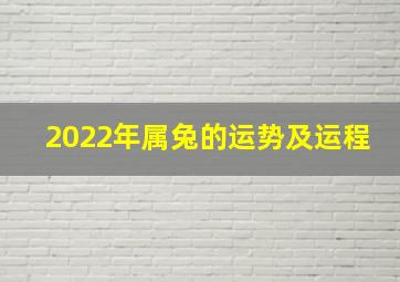 2022年属兔的运势及运程