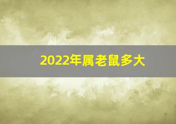 2022年属老鼠多大