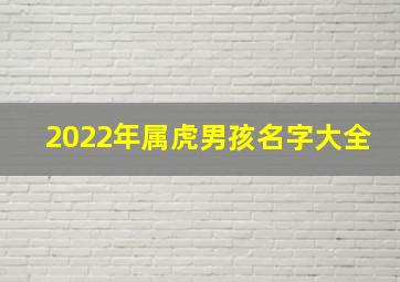 2022年属虎男孩名字大全