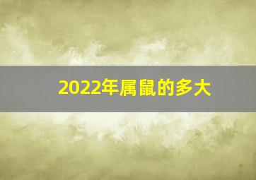 2022年属鼠的多大