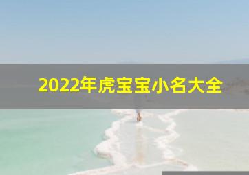 2022年虎宝宝小名大全