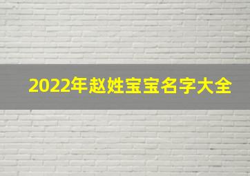 2022年赵姓宝宝名字大全