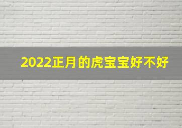 2022正月的虎宝宝好不好