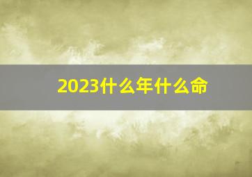 2023什么年什么命