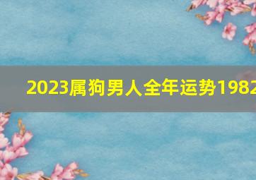 2023属狗男人全年运势1982