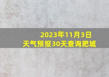 2023年11月3日天气预报30天查询肥城