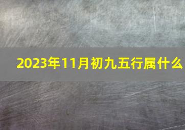 2023年11月初九五行属什么