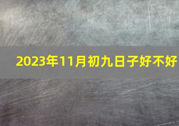 2023年11月初九日子好不好