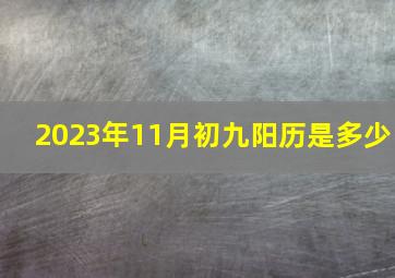 2023年11月初九阳历是多少