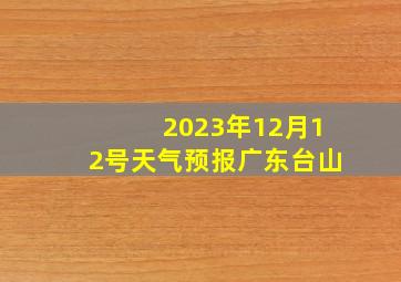 2023年12月12号天气预报广东台山