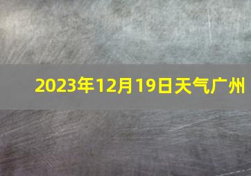 2023年12月19日天气广州