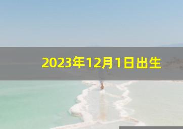 2023年12月1日出生