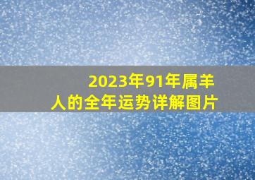 2023年91年属羊人的全年运势详解图片