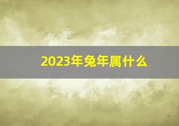 2023年兔年属什么