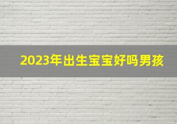 2023年出生宝宝好吗男孩