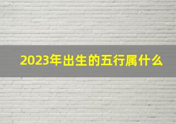 2023年出生的五行属什么