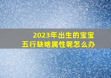 2023年出生的宝宝五行缺啥属性呢怎么办