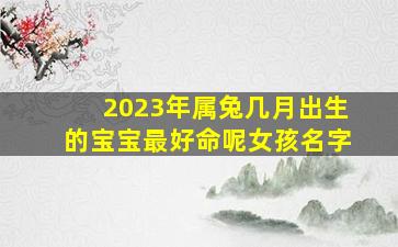 2023年属兔几月出生的宝宝最好命呢女孩名字