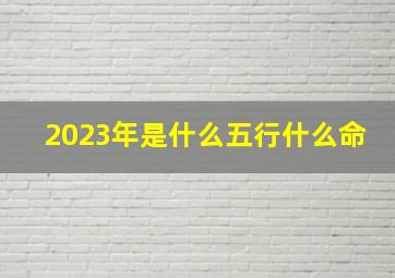 2023年是什么五行什么命