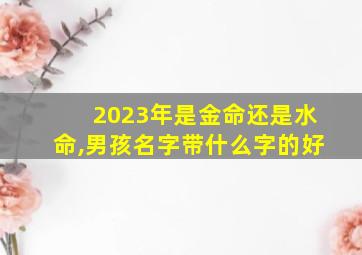 2023年是金命还是水命,男孩名字带什么字的好