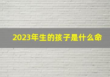 2023年生的孩子是什么命