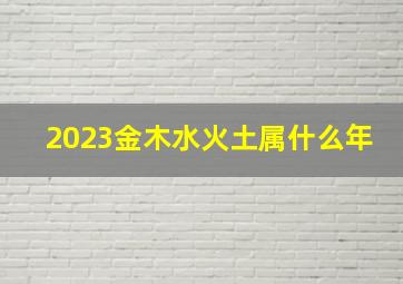 2023金木水火土属什么年