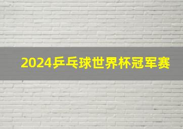 2024乒乓球世界杯冠军赛